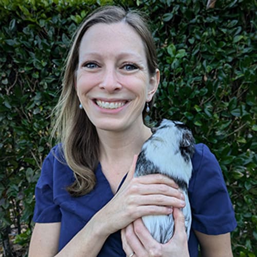Dr. Jana VanStee, Tigard Veterinarian